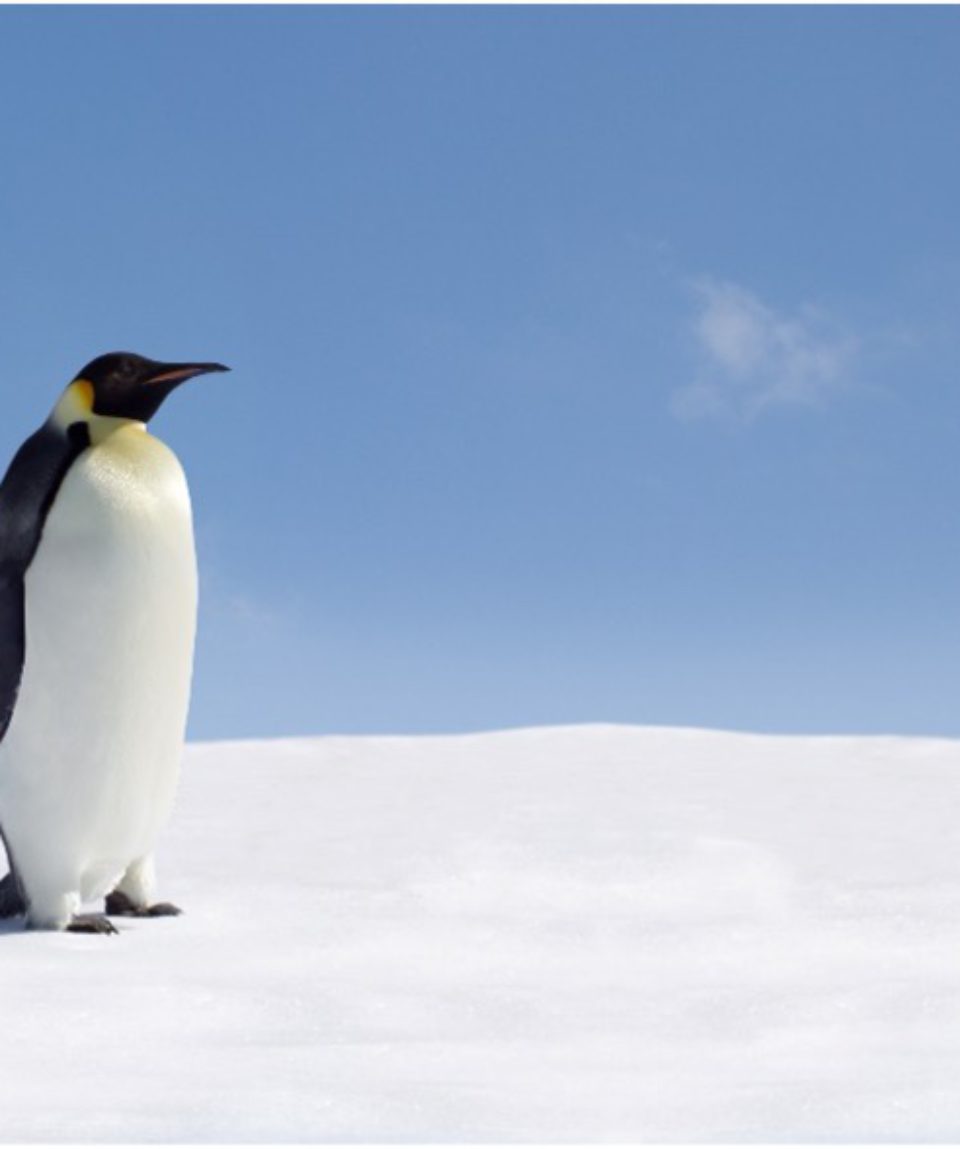 ANTARCTICA