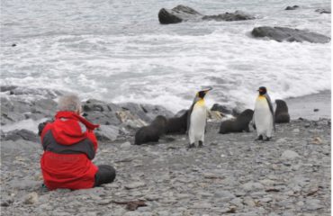 Antarctic Sound