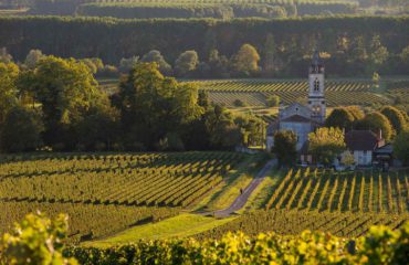 Bordeaux_FRANCE_SauternesLoupiac_VineyardLandscape_ss_217211851_gallery