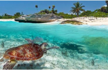 Costa maya