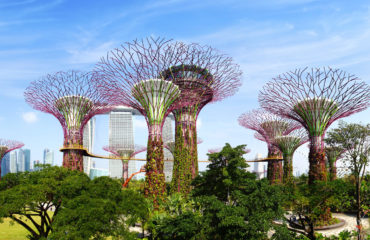 Gardens by the Bay. Singapore