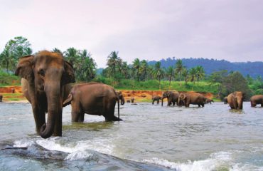 Hambantota, SRI LANKA