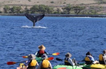 Kayaking Hawaii