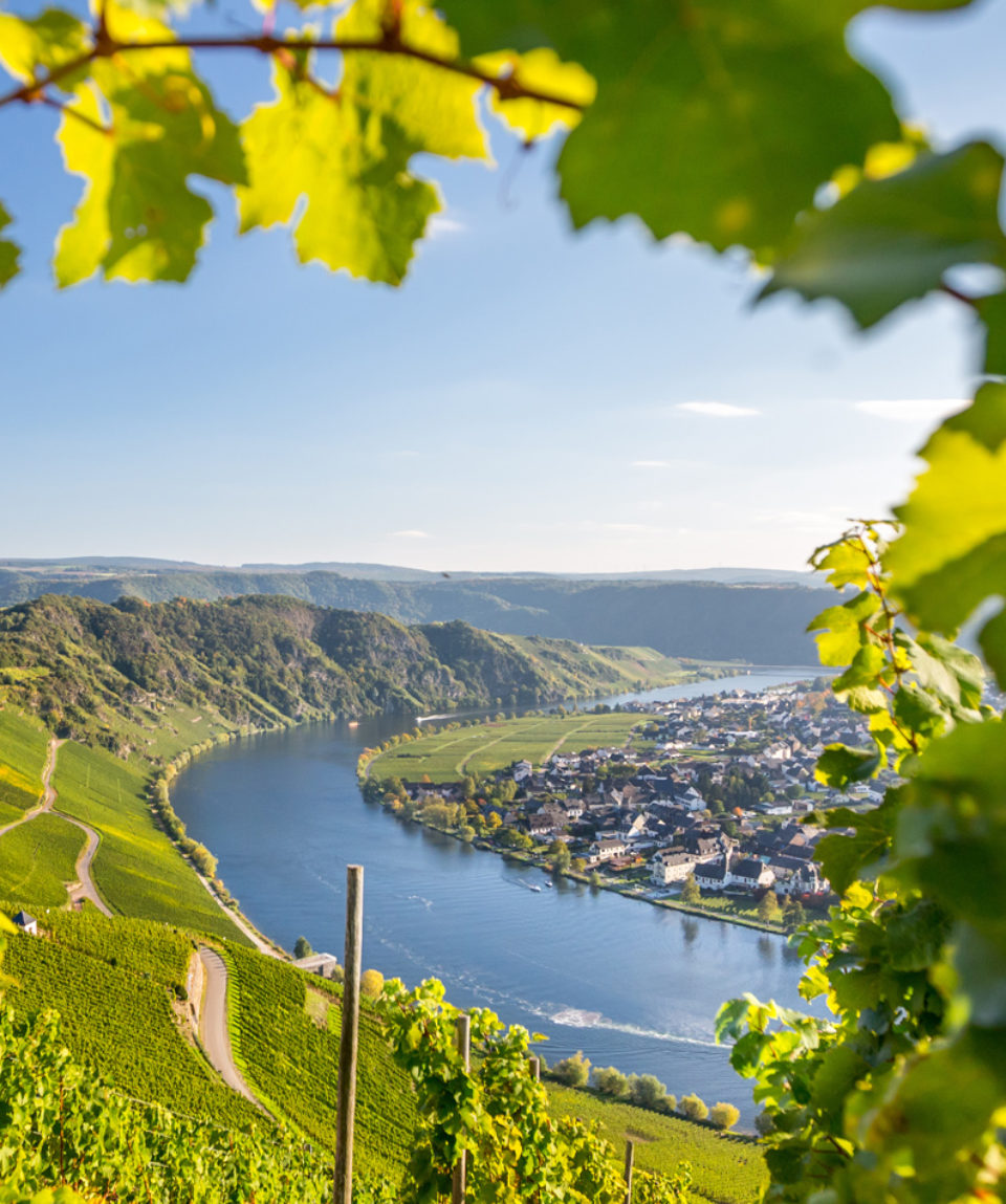 Mosel Panorama