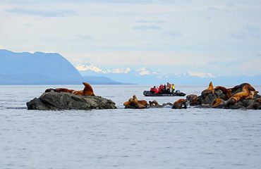 SAINT PAUL ISLAND - PRIBILOF ISLANDS