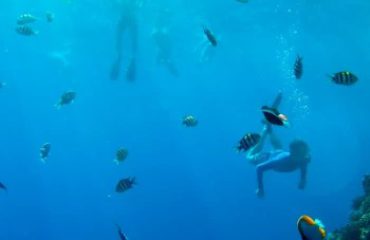 Snorkeling