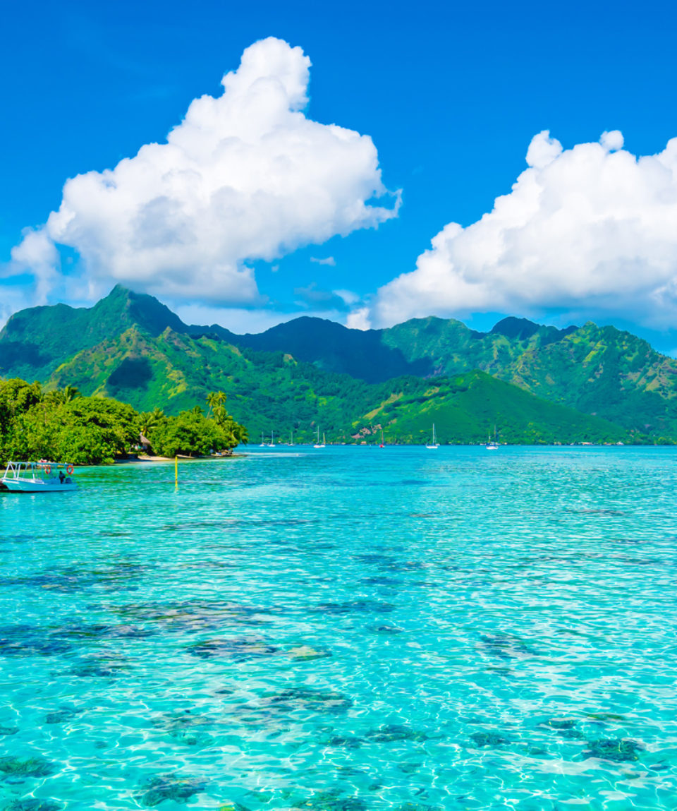 Lagoon landscape, Moorea