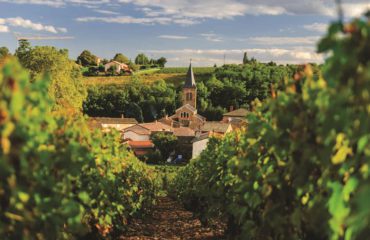 provencespain_Beaujolais_ss_147436355_vineyard_gallery