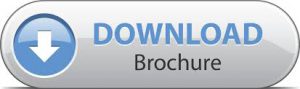 Image result for download brochure button