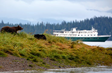 bears-shoreline-vessel