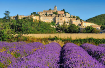 Provence 1425x950