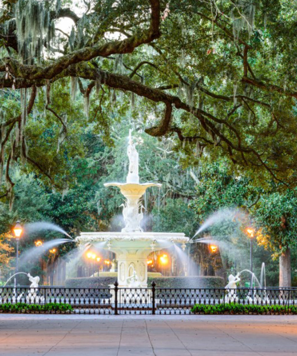 SAVANNAH - 1425X950