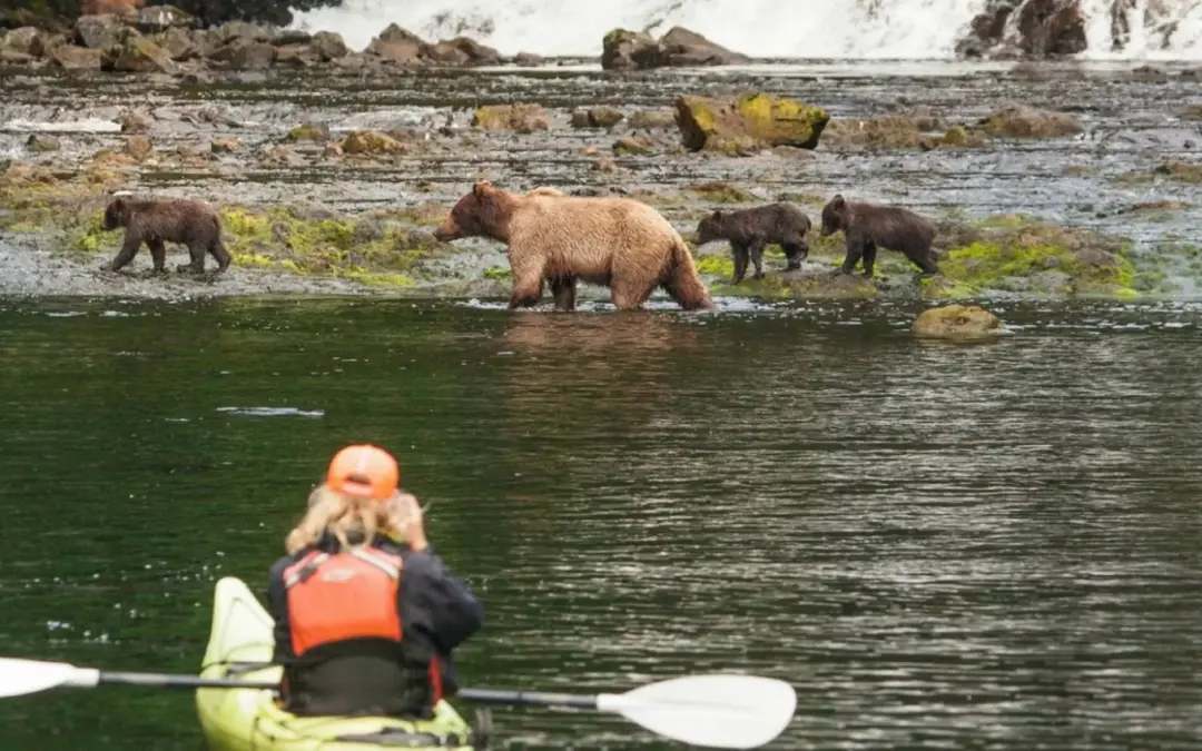 Alaska Northern Passages